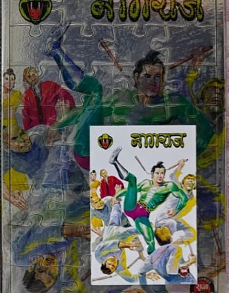 Nagraj Style 12 High Quality Wooden JIGSAW PUZZLE